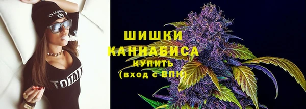 гидропоника Белокуриха