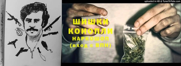 гидропоника Белокуриха