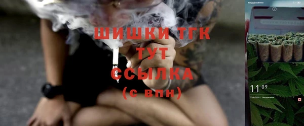 гидропоника Белокуриха