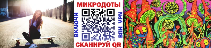 kraken как войти  Светогорск  Галлюциногенные грибы GOLDEN TEACHER  закладка 